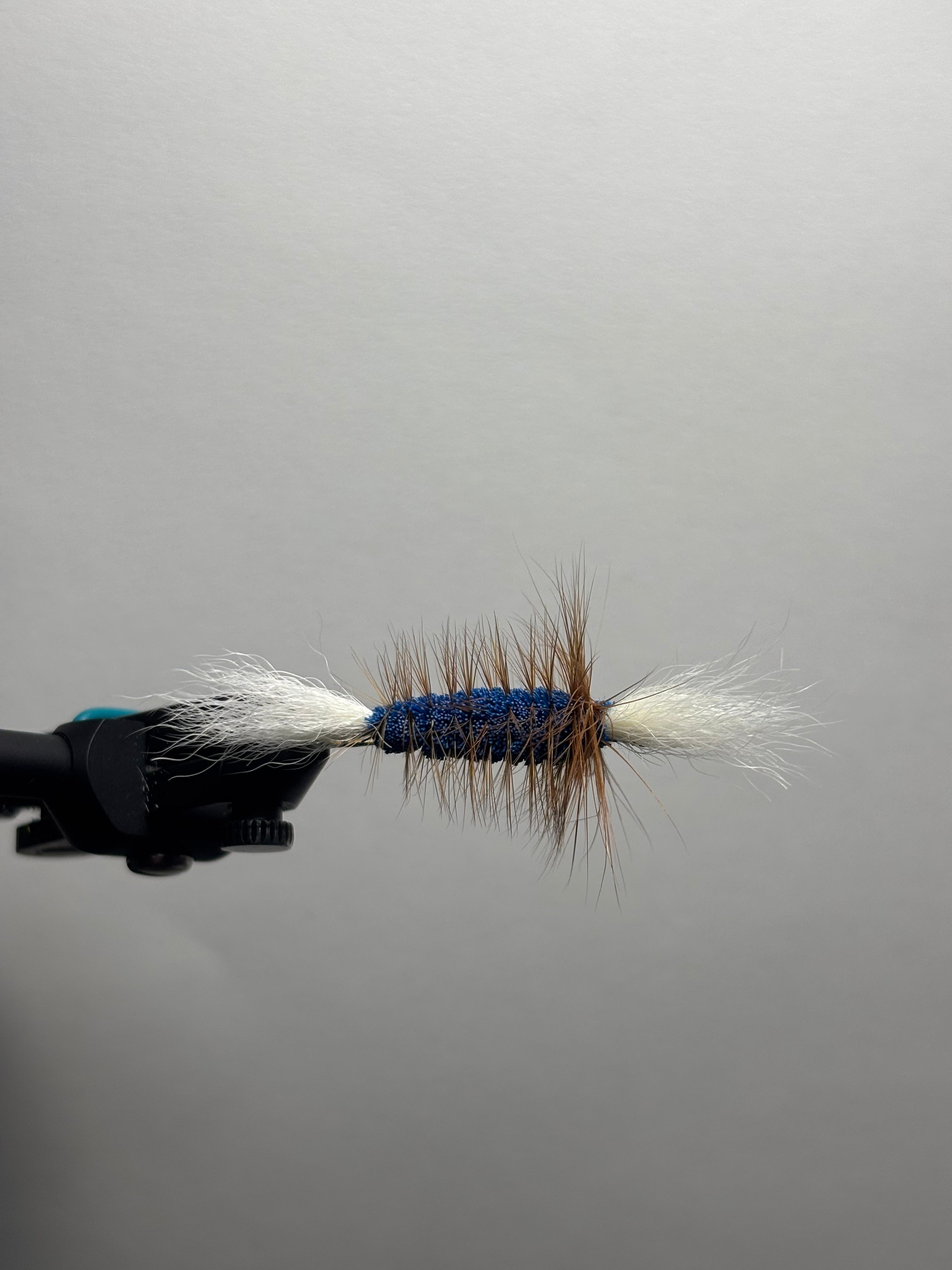 Single Wing Blue Bomber