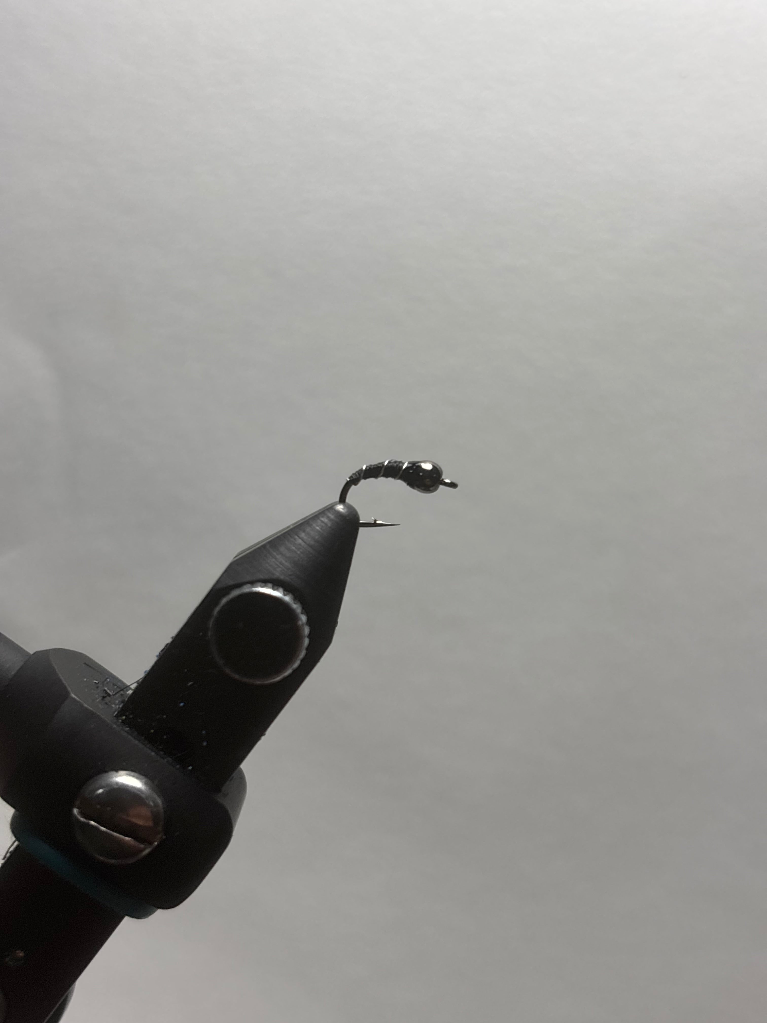 Zebra midge
