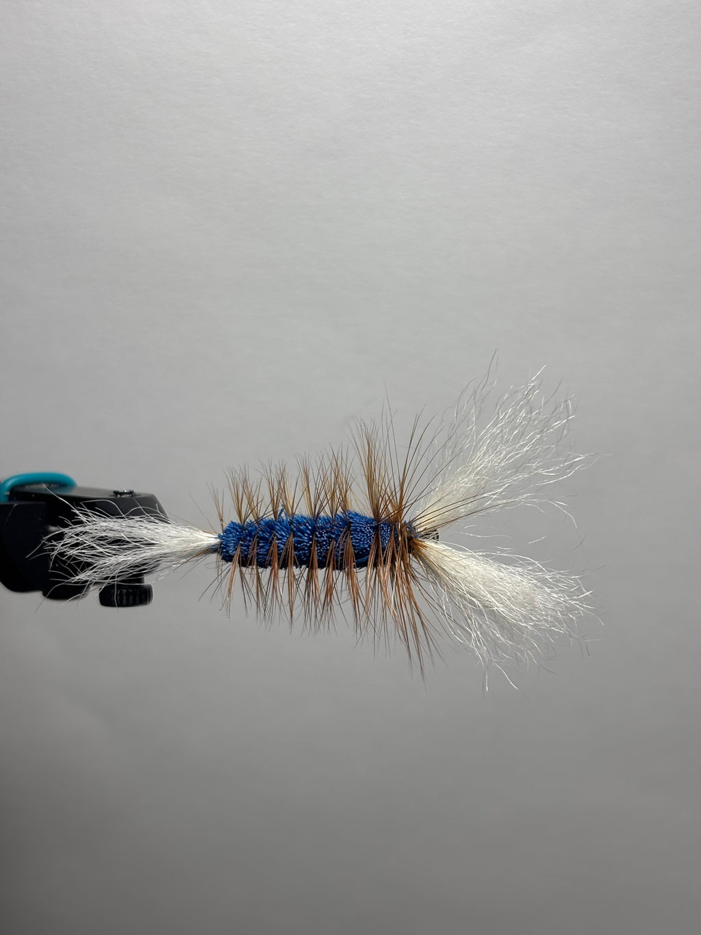 Double wing blue bomber