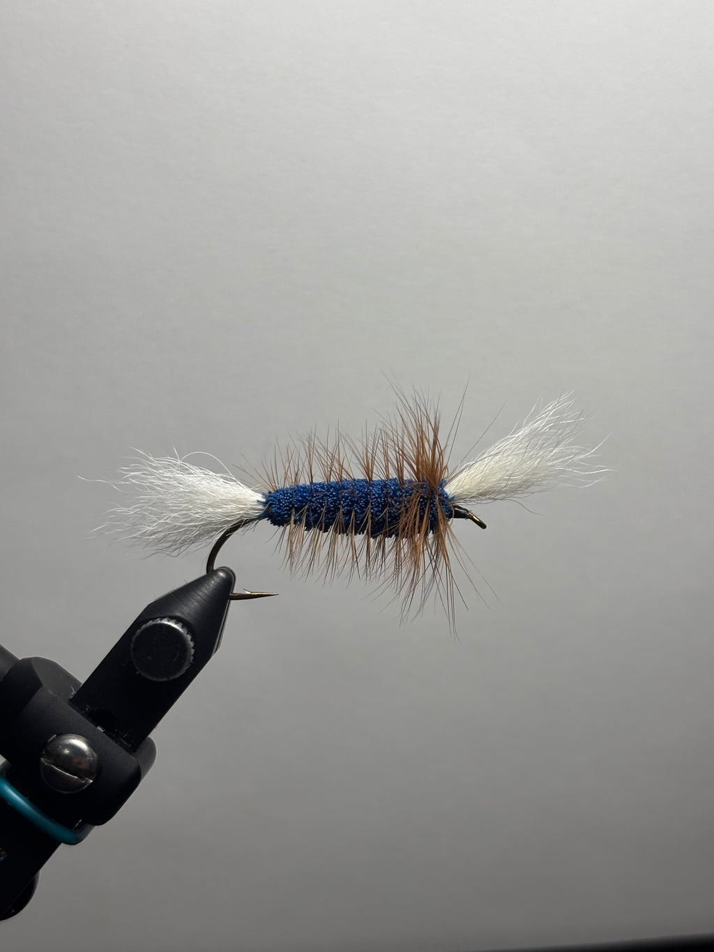 Single Wing Blue Bomber