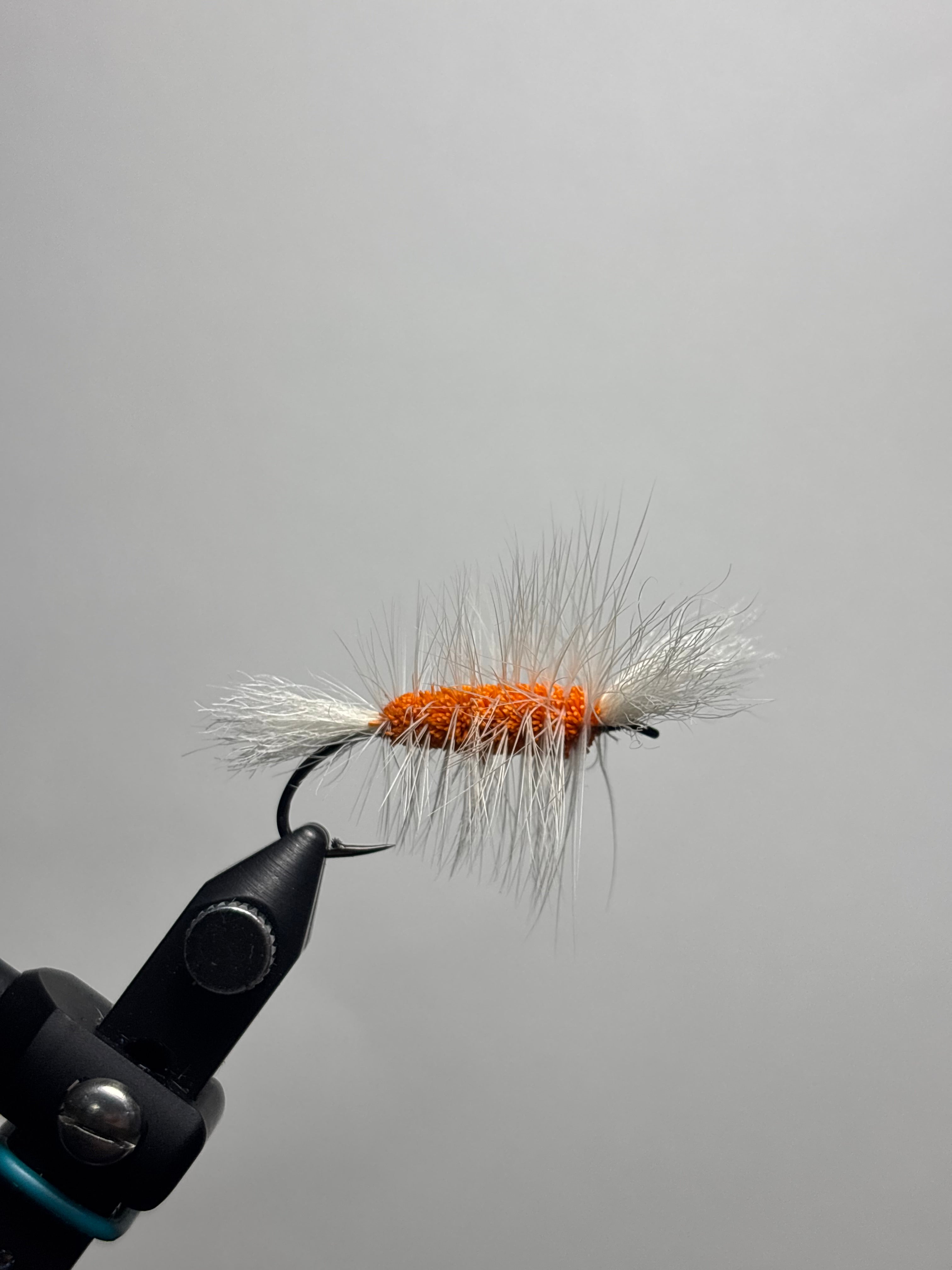 Double wing Creamsicle