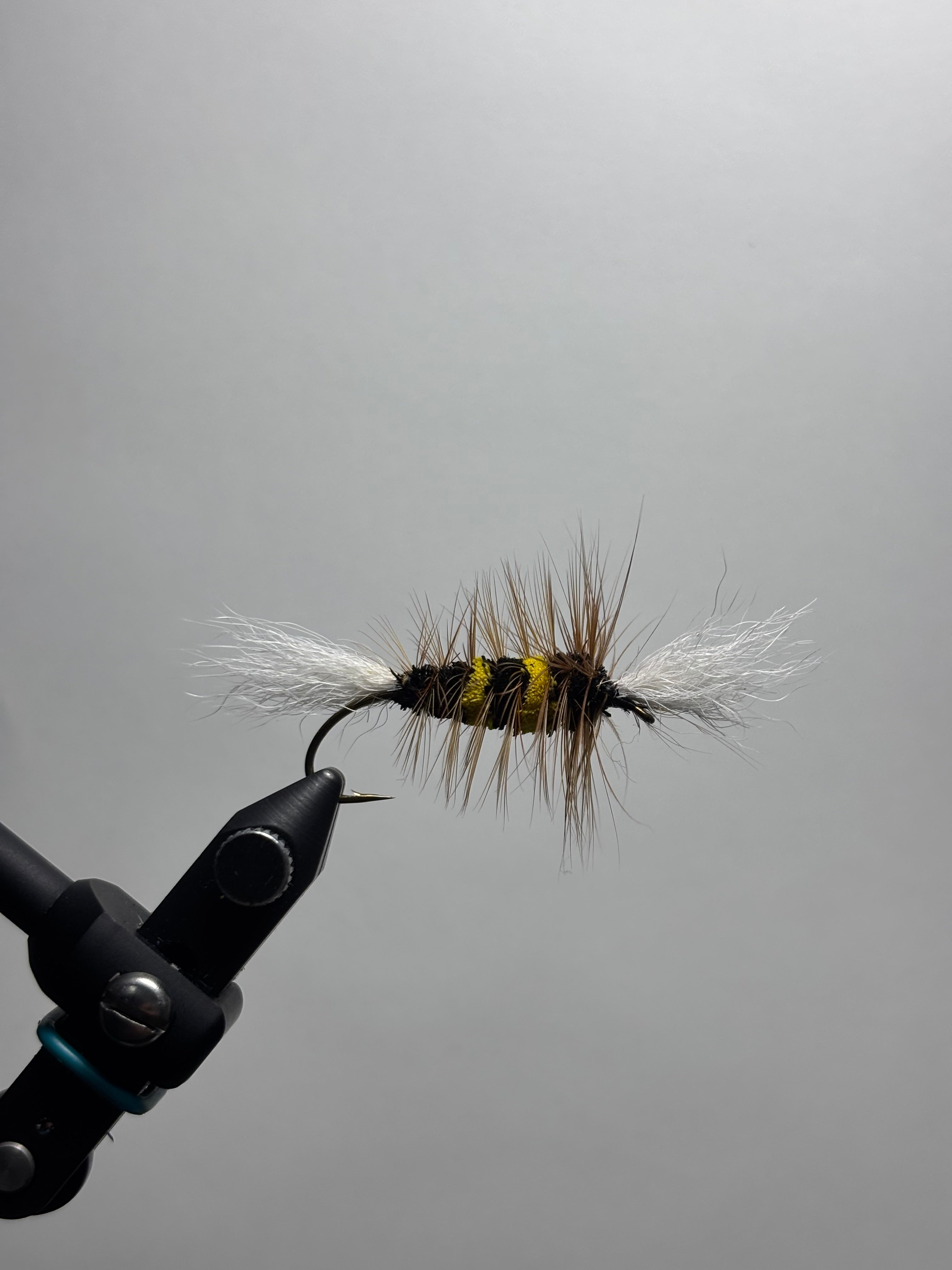 Bumble bee bomber