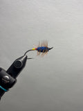 Blue buck bug yellow/red butt