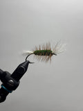 Double wing green bomber