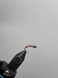 Chironomid Red body