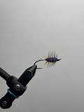Blue buck bug yellow/red butt w/flash