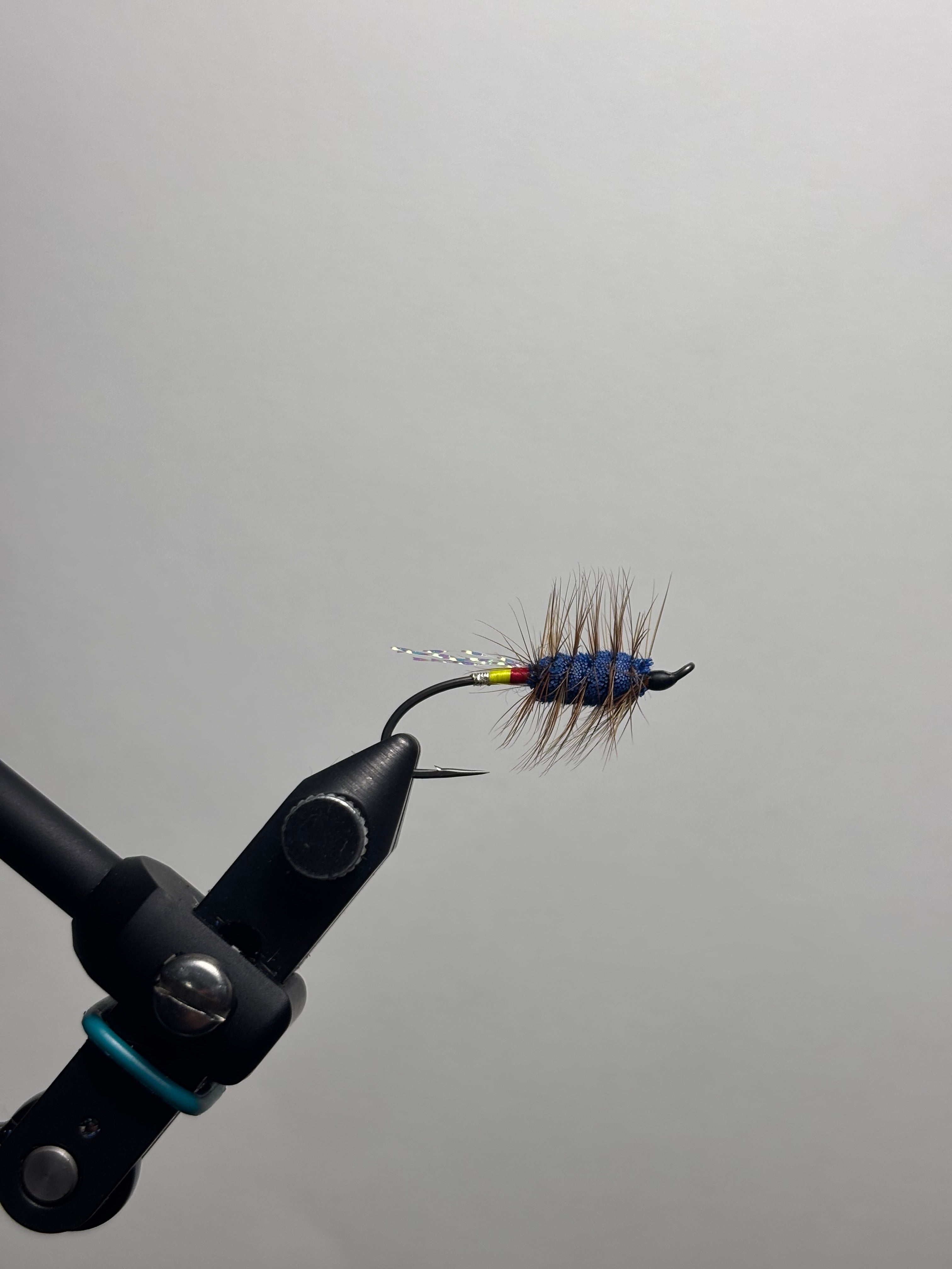Blue buck bug yellow/red butt w/flash
