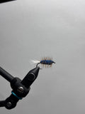 Blue buck bug calf tail