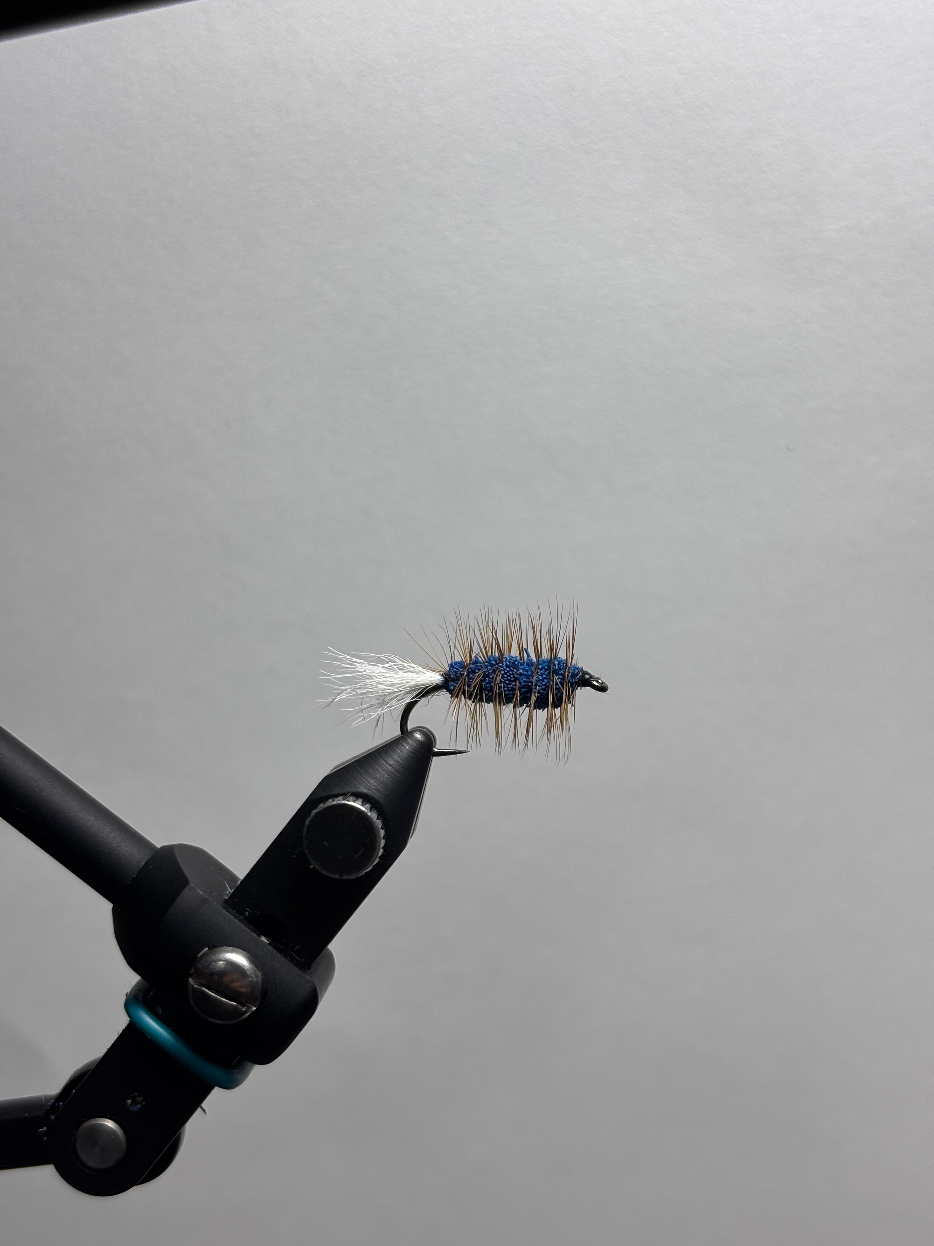 Blue buck bug calf tail