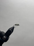 Griffiths Gnat