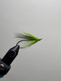 Hairwing Green widow