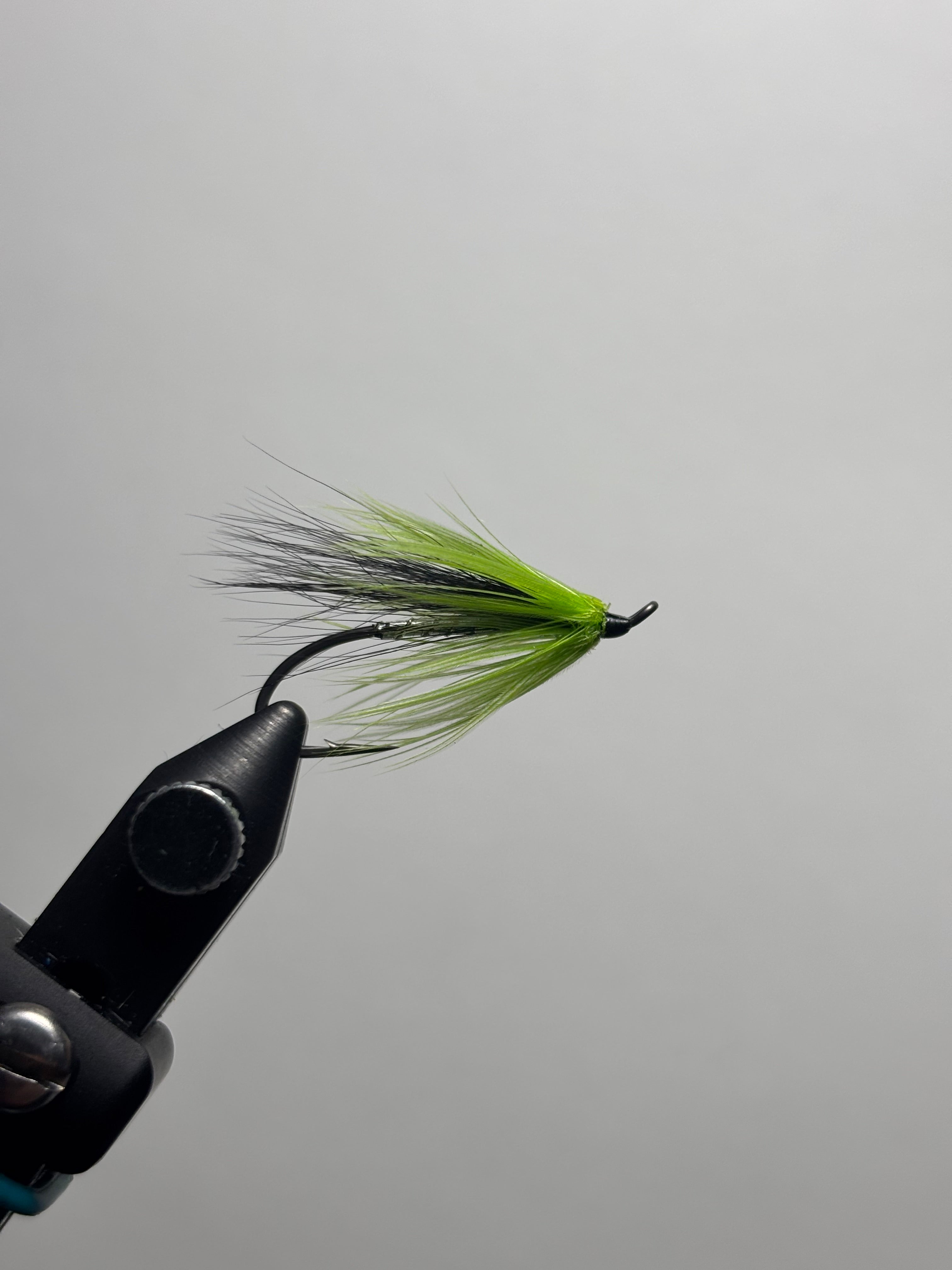 Hairwing Green widow