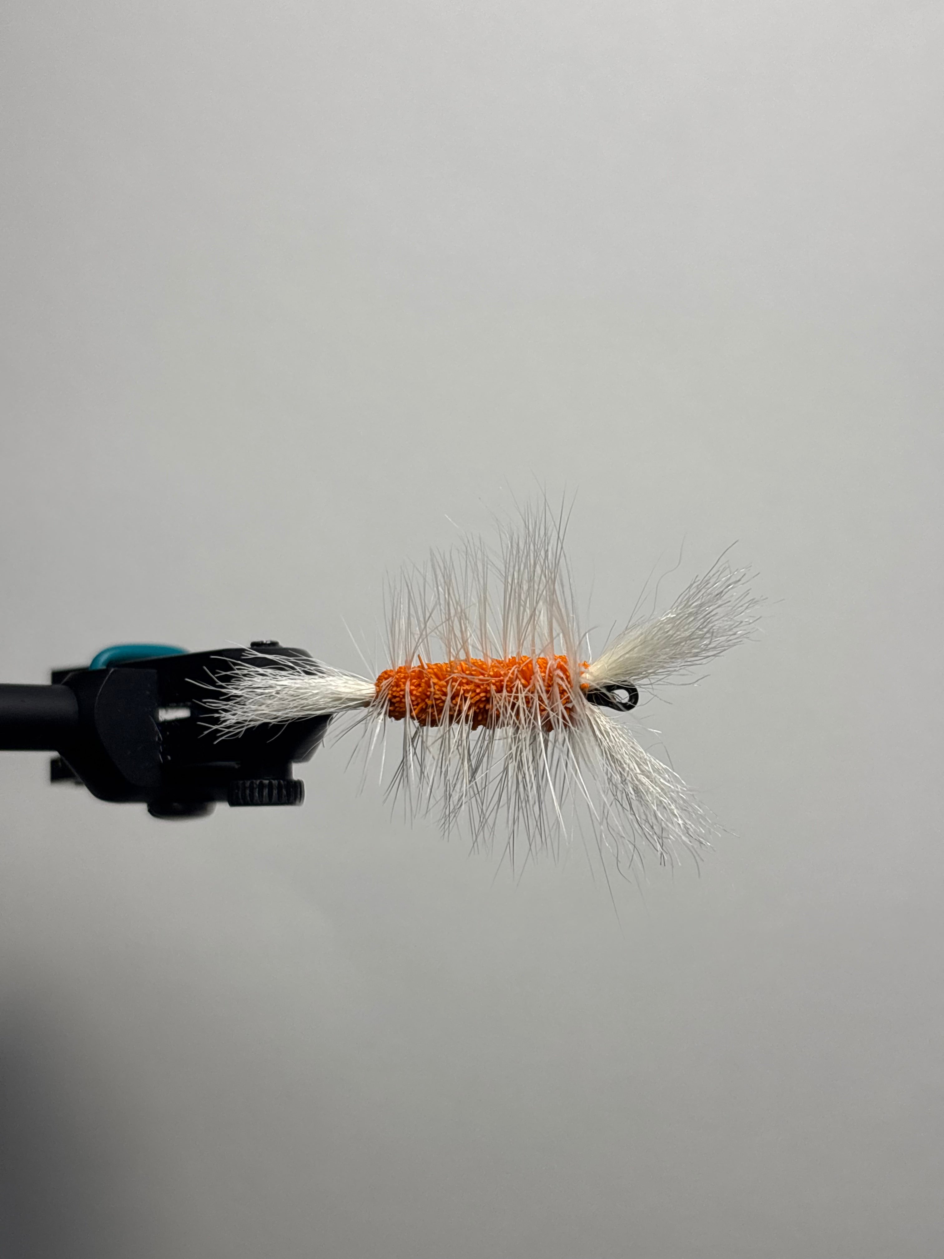Double wing Creamsicle