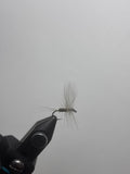 Blue Winged Olive