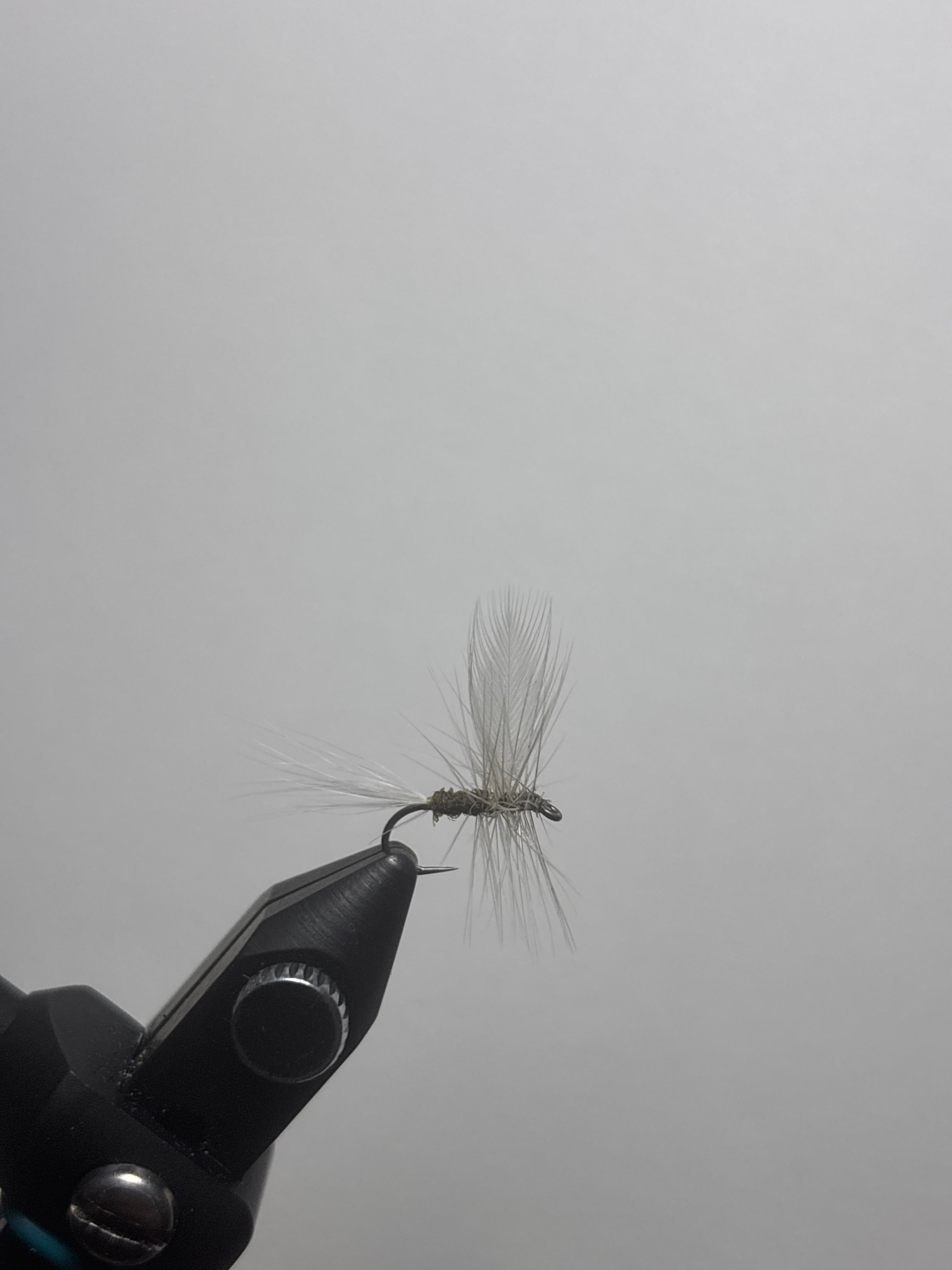 Blue Winged Olive